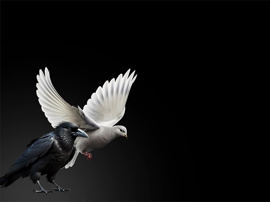 Image placeholder from cosmos.so, index:17